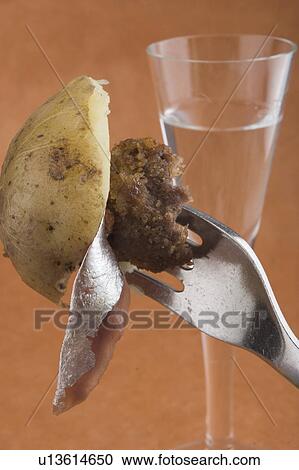 Eatable, Close-Up, Drink, Dish, Cuisine, Appetizing View Large Photo Image Stock Image - Eatable, Close-Up, Drink, Dish, Cuisine, Appetizing. Fotosearch