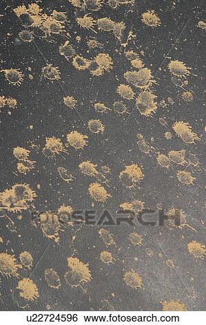 Stock Photograph - effect, spots, spotted, drop, appearance, arrangement. Fotosearch