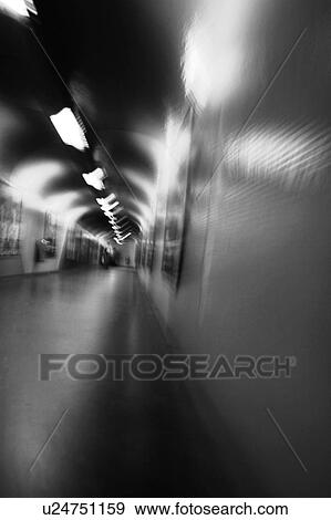 establishment, building, developed, construction, construct, appearance View Large Photo Image Stock Photo - establishment, building, developed, construction, construct, appearance. Fotosearch