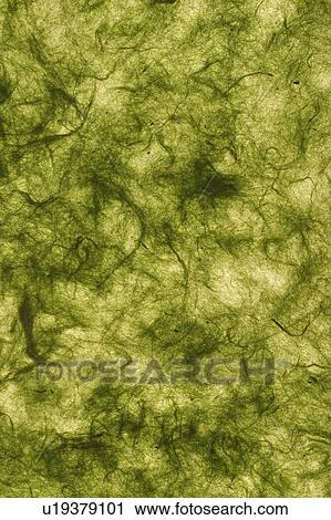 feel, tactile, wrinkle, designed, product View Large Photo Image Stock Image - feel, tactile, wrinkle, designed, product. Fotosearch