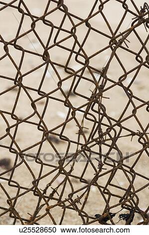Stock Image - Fence, Chain-Link Fence. Fotosearch