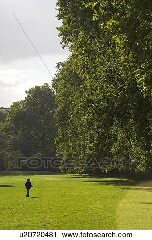Garden, Grass, Green, Greenery View Large Photo Image Stock Image - Garden, Grass, Green, Greenery. Fotosearch