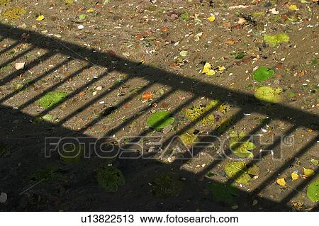 Stock Image - gate, barrier, barricade, reflection, path, leaves. Fotosearch