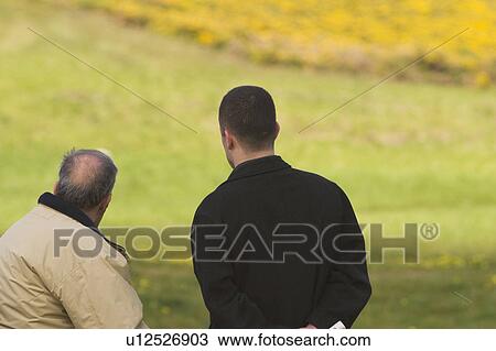 grass, shadow, lush, nature, natural, environment View Large Photo Image Stock Image - grass, shadow, lush, nature, natural, environment. Fotosearch