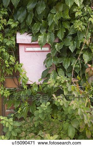Stock Image - Green, Greenery, Letter Box. Fotosearch
