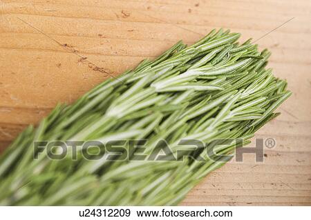 Indoors, Close-Up View Large Photo Image Stock Photo - Indoors, Close-Up. Fotosearch