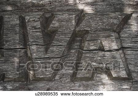 Information, Message, Alphabets, Close-Up View Large Photo Image Stock Photography - Information, Message, Alphabets, Close-Up. Fotosearch