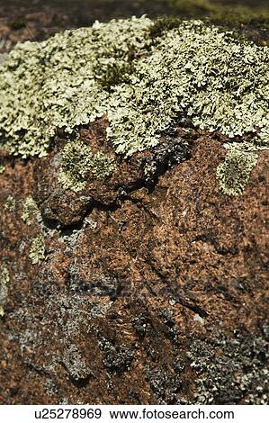 Stock Photo - Inscription, Stone Wall. Fotosearch