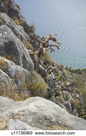 Stock Photo - Landscape, Stone. Fotosearch
