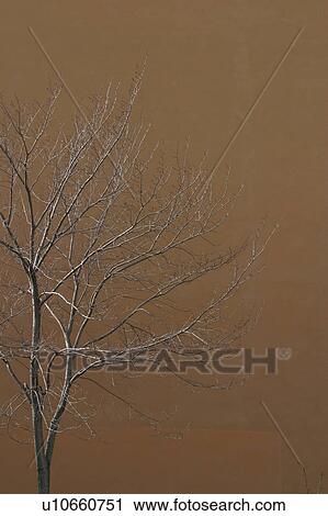 Stock Image - natural, climate, season, scenic, calm, serene. Fotosearch
