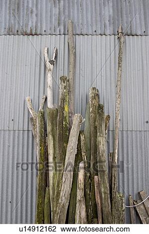 Stock Image - natural, outdoors, environment, arrangement, wood, wooden logs. Fotosearch