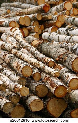 natural, outdoors, environment, arrangement, wood, wooden logs View Large Photo Image Stock Image - natural, outdoors, environment, arrangement, wood, wooden logs. Fotosearch