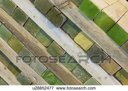 natural, outdoors, environment, arrangement, wood, wooden logs View Large Photo Image Stock Photo - natural, outdoors, environment, arrangement, wood, wooden logs. Fotosearch