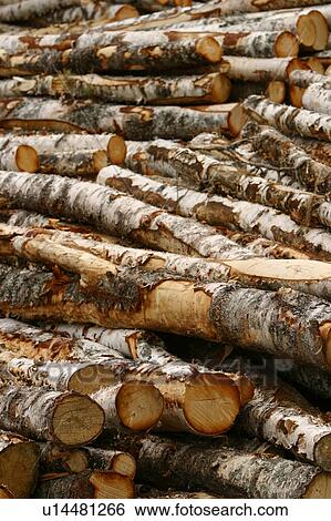 Stock Photograph - natural, outdoors, environment, arrangement, wood, wooden logs. Fotosearch