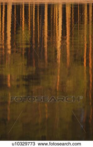 Stock Image - Nature, Bank, Calm, Day, Lake. Fotosearch