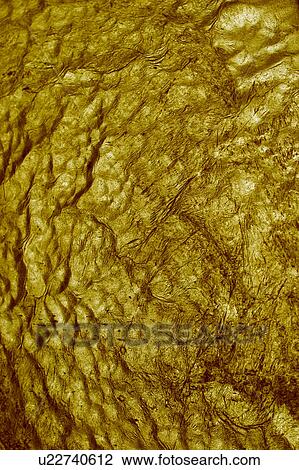 nature, ripples, outdoor, marks, close-up, uneven View Large Photo Image Stock Image - nature, ripples, outdoor, marks, close-up, uneven. Fotosearch
