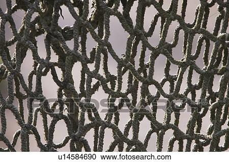 Stock Image - Net, Netting. Fotosearch
