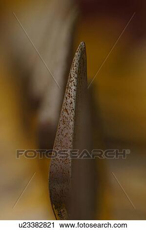 Stock Image - outdoor, barrier, barricade, iron, sharp, decorative. Fotosearch