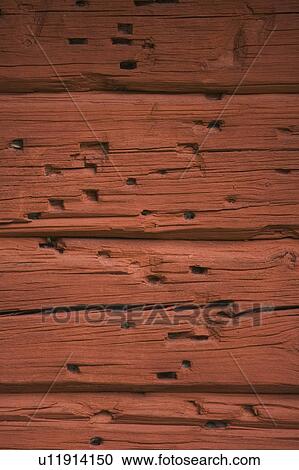 Outdoors, Appearance View Large Photo Image Stock Image - Outdoors, Appearance. Fotosearch