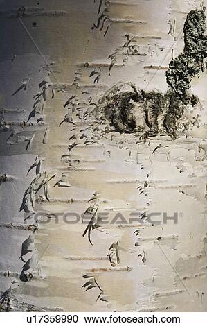Stock Image - Outdoors, Background. Fotosearch