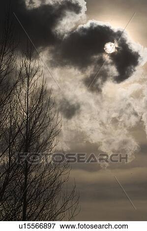 outdoors, day, daytime, sun, sunlight, bleak View Large Photo Image Stock Photo - outdoors, day, daytime, sun, sunlight, bleak. Fotosearch