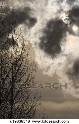 Stock Photo - outdoors, day, daytime, sun, sunlight, bleak. Fotosearch