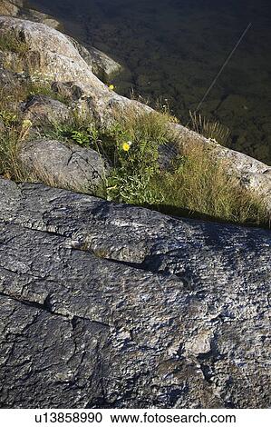 Stock Image - Outdoors, Day. Fotosearch