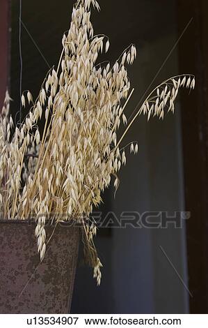 Stock Photo - Outdoors, Day. Fotosearch