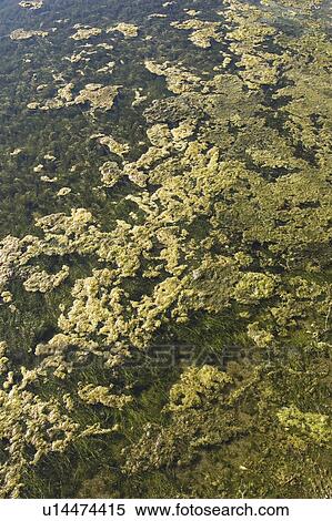 Outdoors, Day View Large Photo Image Stock Photography - Outdoors, Day. Fotosearch