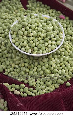 Stock Image - plants. Fotosearch