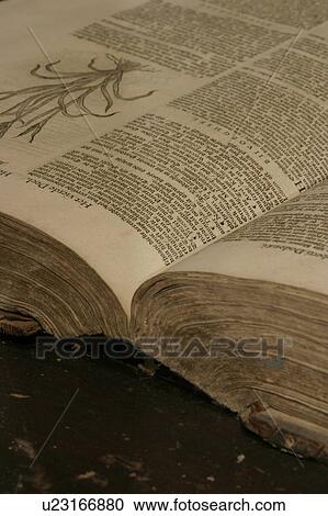 Stock Image - Published, Paper, Literary Study. Fotosearch
