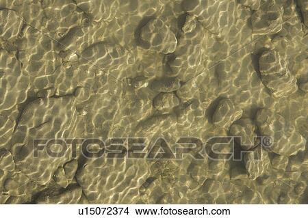 Picture - Ripple, Stones. Fotosearch