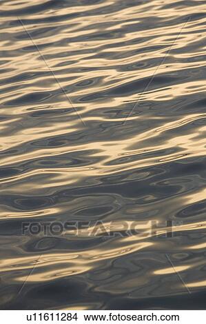 Picture - River, Water. Fotosearch