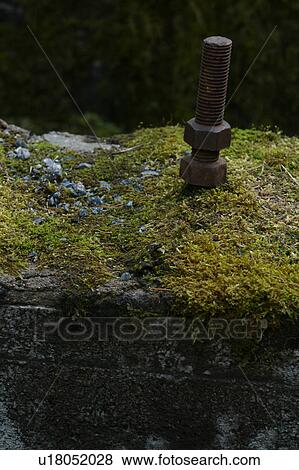 rock, bolt, nut, metal, rusted, oxidized View Large Photo Image Stock Photo - rock, bolt, nut, metal, rusted, oxidized. Fotosearch