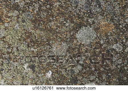 Stock Image - Rock, Boulder. Fotosearch