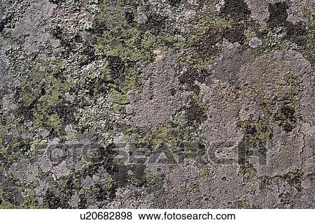 Stock Photo - Rock, Stone, Hard, Close-Up, Solid, Surface. Fotosearch