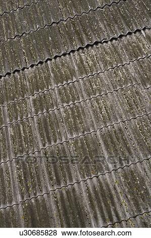 Stock Photo - Roof, Shingles. Fotosearch