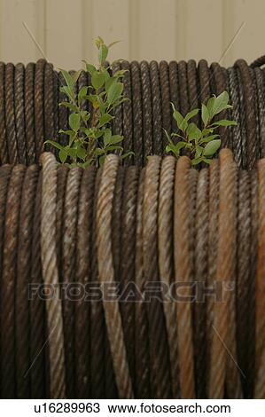 Stock Image - ropes, dock, industrial, detail, background, close-up. Fotosearch