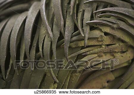 Stock Photography - Rough, Ductile. Fotosearch