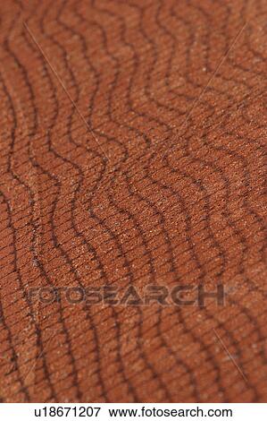 Stock Photo - rug, carpet, appearance, arrangement, decorative, scheme. Fotosearch