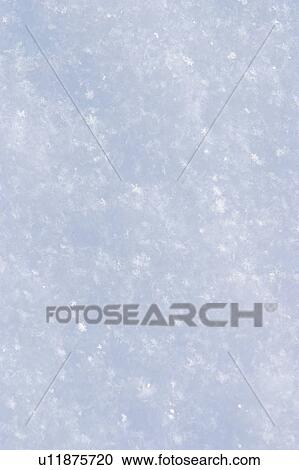 Stock Image - season, snow, blizzard, freeze, snowfall, cold. Fotosearch