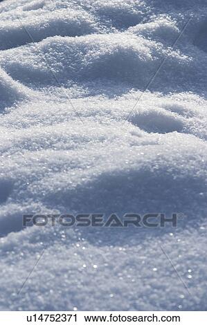 Stock Image - season, snow, blizzard, freeze, snowfall, cold. Fotosearch