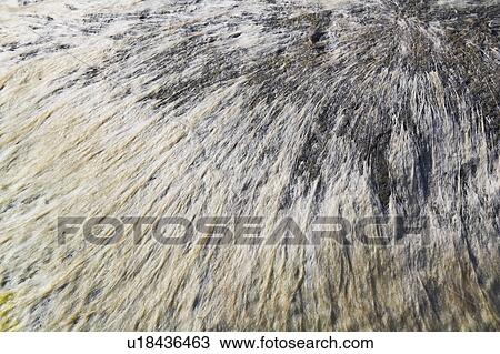 Solid, Stone View Large Photo Image Stock Image - Solid, Stone. Fotosearch