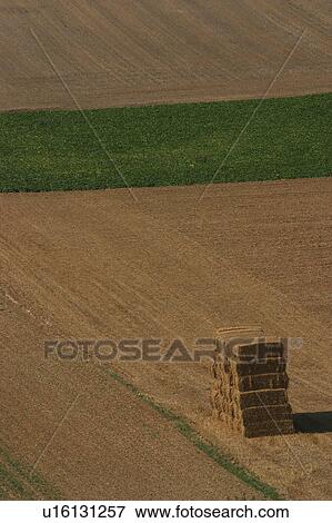 Stock Photo - straw, heap, packed, produce, growth. Fotosearch