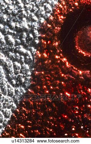 Picture - texture, background, stone, mineral, ore, natural. Fotosearch