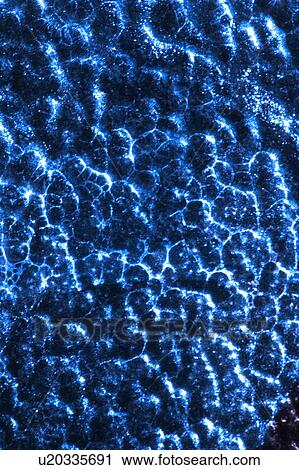 Stock Image - texture, background, stone, mineral, ore, natural. Fotosearch