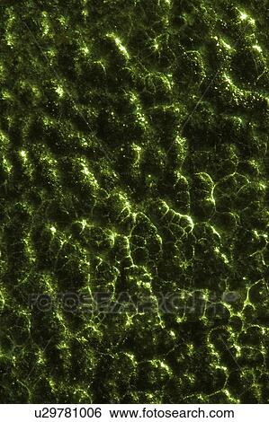 texture, background, stone, mineral, ore, natural View Large Photo Image Stock Photograph - texture, background, stone, mineral, ore, natural. Fotosearch