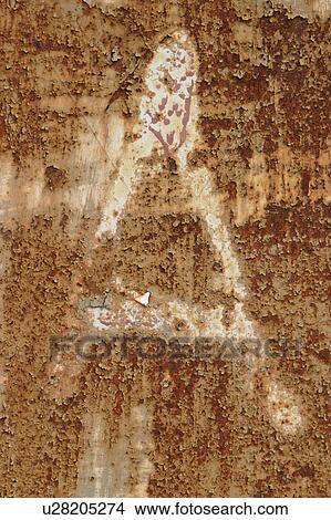 Picture - texture, background, tree, bark, outdoors, wood. Fotosearch