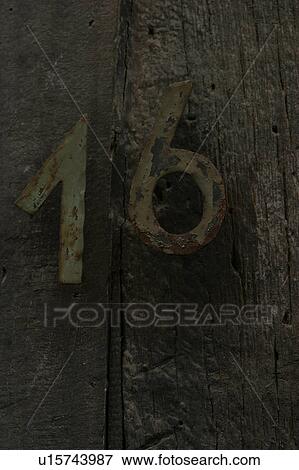 texture, background, tree, bark, outdoors, wood View Large Photo Image Stock Photo - texture, background, tree, bark, outdoors, wood. Fotosearch