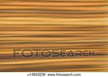 Stock Photo - Texture, Design. Fotosearch
